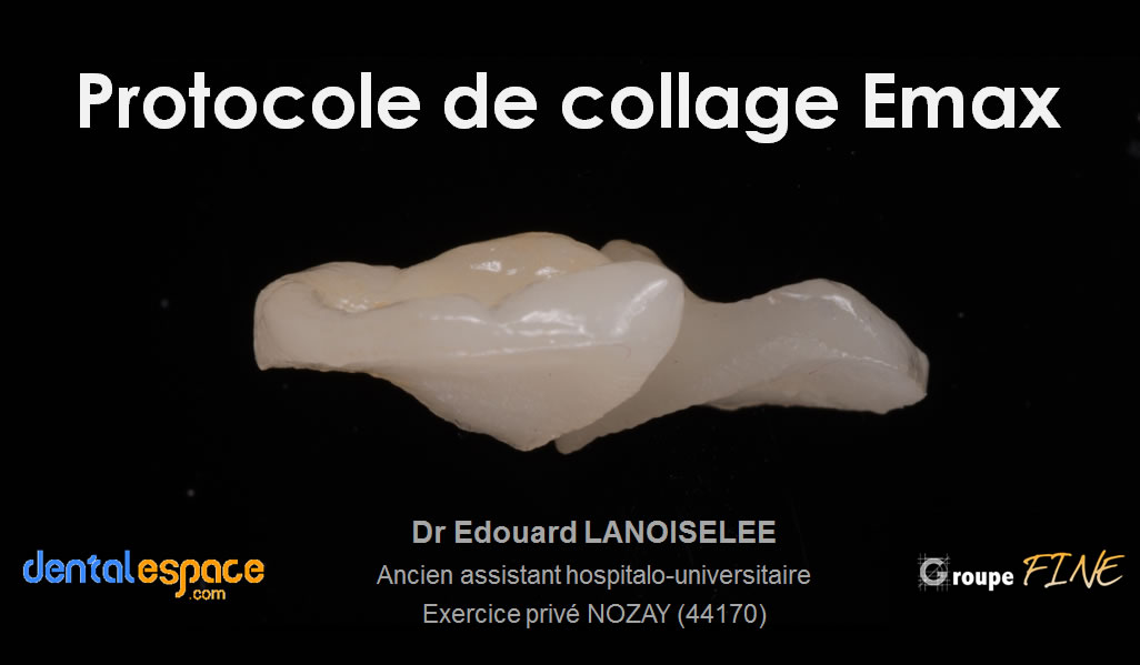 Lanoiselee-collage-01