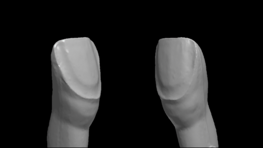 Vue 3d d'une préparation en fenêtre.