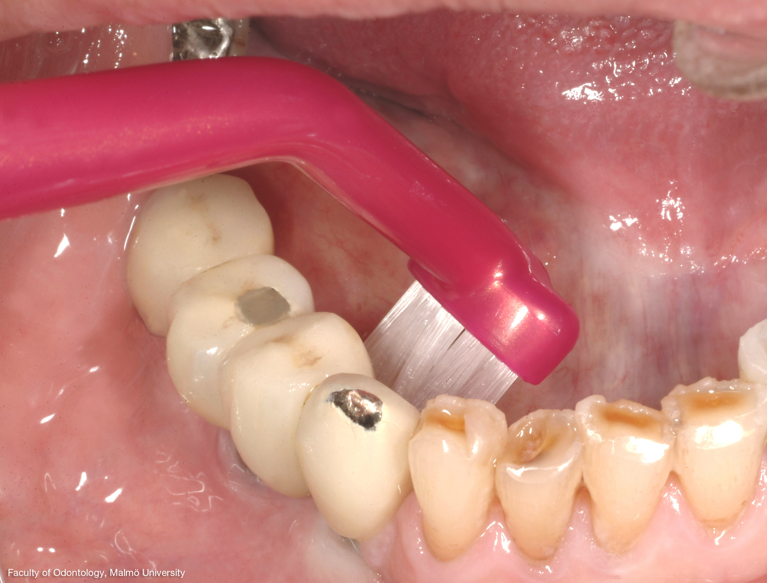 CL_universal_care_2243