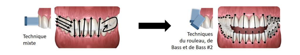 Adapter une technique « naturelle » mixte.