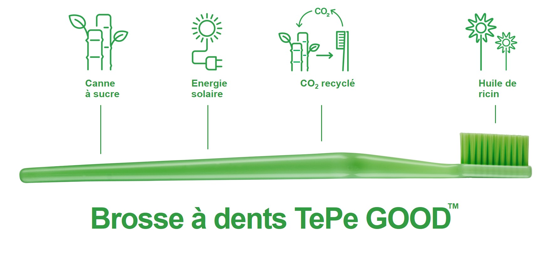 Plastique et durabilité