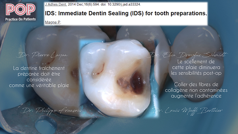 Figure article IDS POP.002