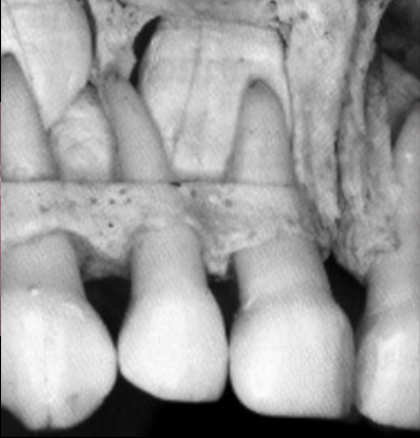 Photo-2-Marie-Dacquin