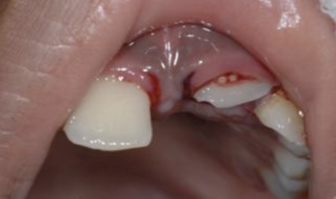 Photo-3-Marie-Dacquin