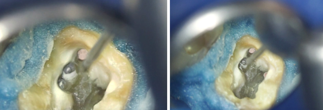 Alexandra-Minard-Image-2-Photo