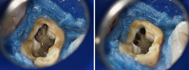 Alexandra-Minard-Image-4-Photo