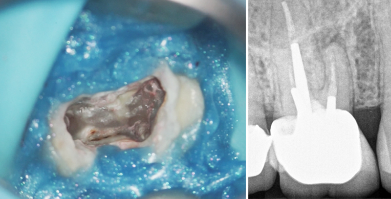 Alexandra-Minard-Image-5-Photo