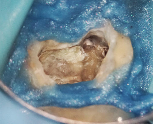 Alexandra-Minard-Image-6-Photo