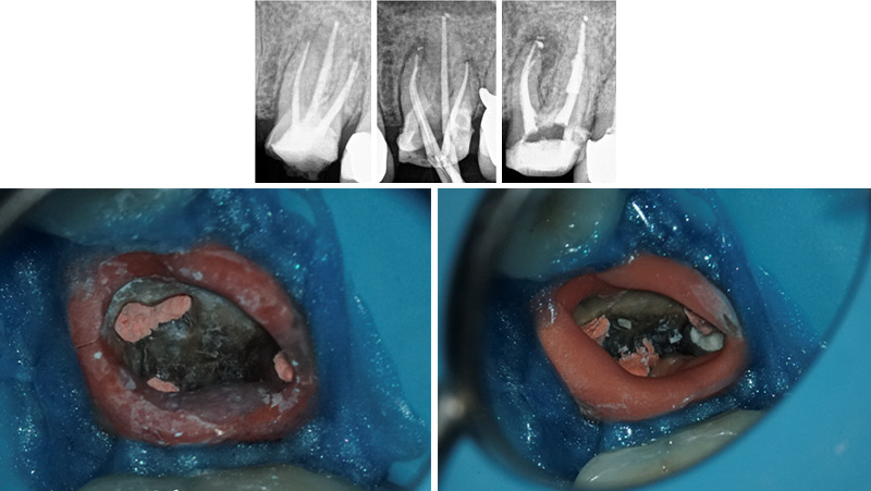 Alexandra-Minard-Image-8-Photos-Radios