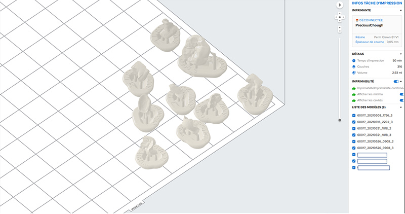 Fig-08_Permanent-Crown