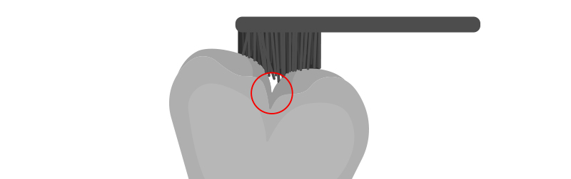 schema-article-marie-dacquin-brossage-sillons