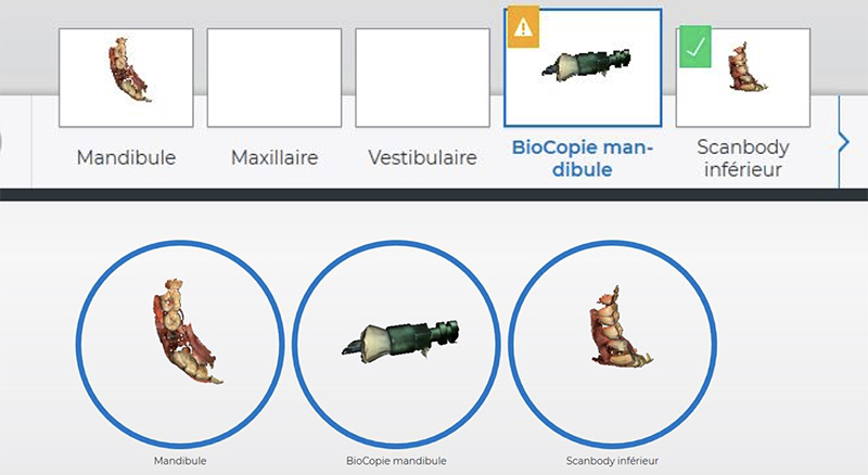 Fig-1-Linda-Martin-44-GC-France