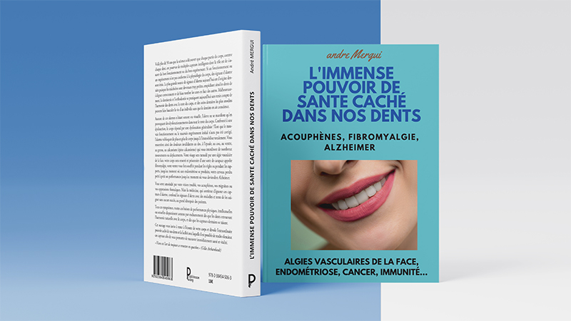 mock-up-livre-andré-mergui