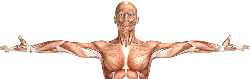 posture, nerf trijumeau