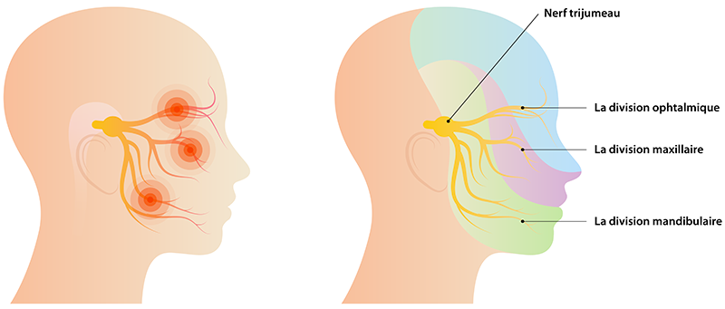 posturologie, nerf trijumeau