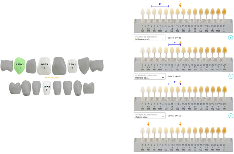 Résultats dent par dent et comparaison aux prédictions