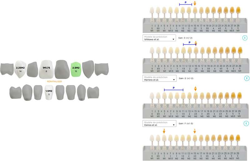 Résultats dent par dent et comparaison aux prédictions